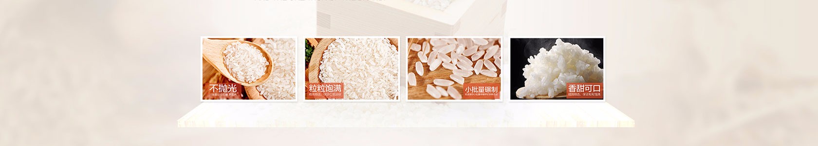 绍兴市中盛管理有限公司